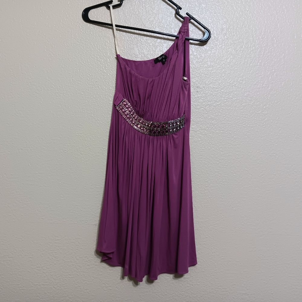 Sky Brand Purple Jeweled One Shoulder Jersey Knit Dress